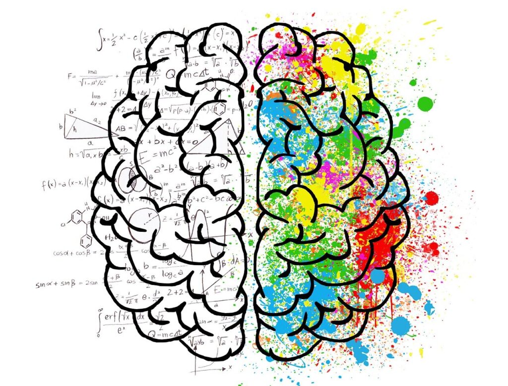 Illustration of a human brain with the left side filled with mathematical equations and the right side bursting with colorful paint splashes, symbolizing the blend of logic and creativity enhanced through psilocybin Oregon experiences. Psilocybin treatment at Vital Reset promotes neuroplasticity, emotional integration, and balanced cognitive growth through safe psilocybin retreats and legal psychedelics in Oregon.