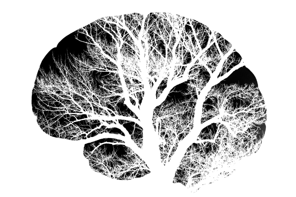 Striking black-and-white illustration of a leafless tree shaped like a human brain, symbolizing neuroplasticity and the deep cognitive integration possible with psilocybin Oregon experiences. Vital Reset supports safe psilocybin treatment and magic mushroom therapy through licensed psilocybin retreats that highlight psilocybin benefits, psilocybin dosage understanding, and the potential of legal psychedelics in Oregon.