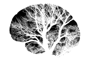 Striking black-and-white illustration of a leafless tree shaped like a human brain, symbolizing neuroplasticity and the deep cognitive integration possible with psilocybin Oregon experiences. Vital Reset supports safe psilocybin treatment and magic mushroom therapy through licensed psilocybin retreats that highlight psilocybin benefits, psilocybin dosage understanding, and the potential of legal psychedelics in Oregon.