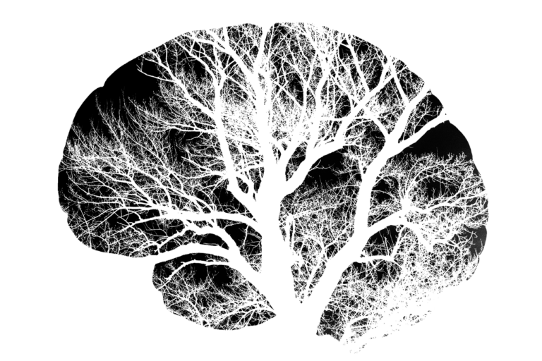 Striking black-and-white illustration of a leafless tree shaped like a human brain, symbolizing neuroplasticity and the deep cognitive integration possible with psilocybin Oregon experiences. Vital Reset supports safe psilocybin treatment and magic mushroom therapy through licensed psilocybin retreats that highlight psilocybin benefits, psilocybin dosage understanding, and the potential of legal psychedelics in Oregon.
