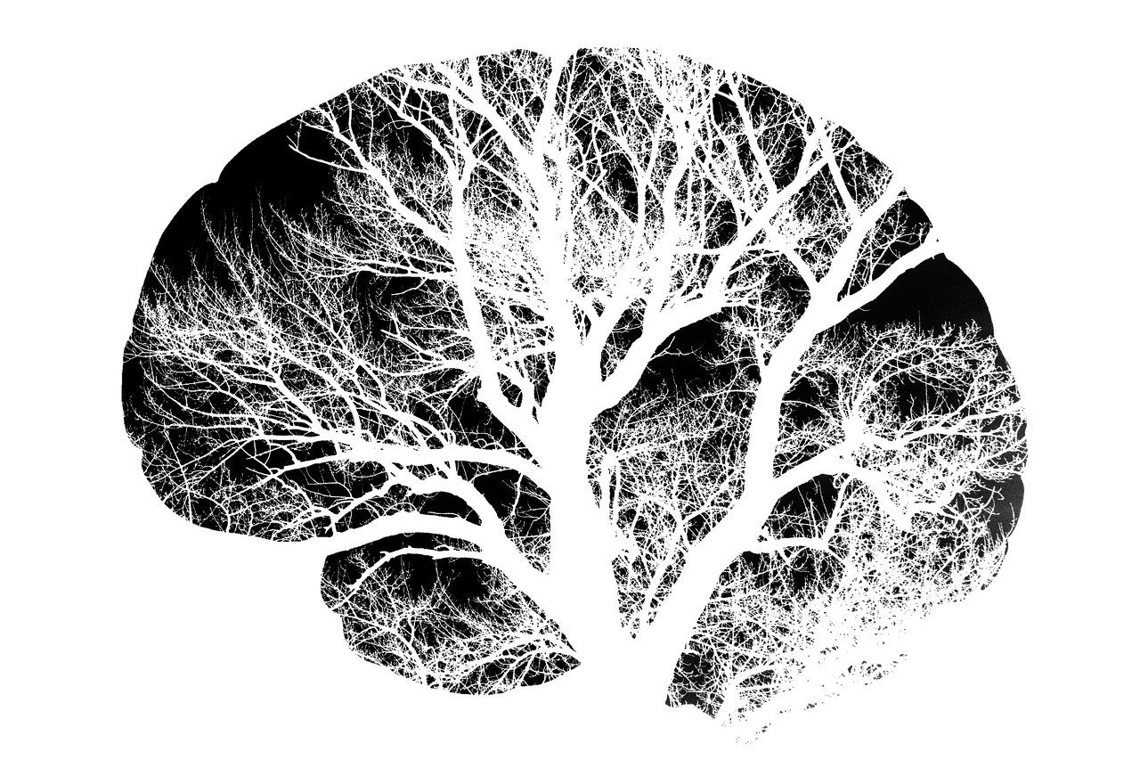 Striking black-and-white illustration of a leafless tree shaped like a human brain, symbolizing neuroplasticity and the deep cognitive integration possible with psilocybin Oregon experiences. Vital Reset supports safe psilocybin treatment and magic mushroom therapy through licensed psilocybin retreats that highlight psilocybin benefits, psilocybin dosage understanding, and the potential of legal psychedelics in Oregon.