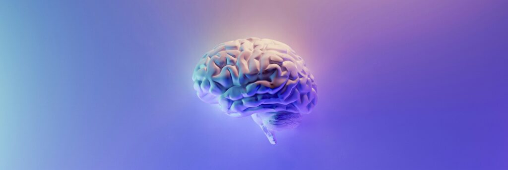 Digital rendering of a human brain glowing in soft purple light, symbolizing the effects of psilocybin on brain healing in Oregon.