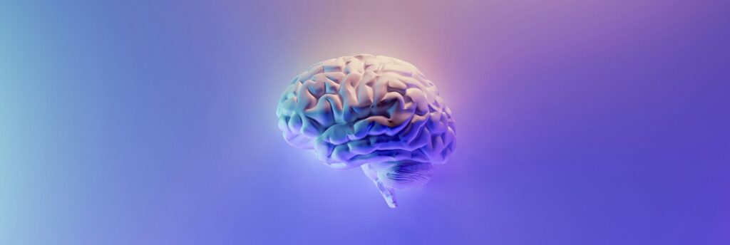 Digital rendering of a human brain glowing in soft purple light, symbolizing the effects of psilocybin on brain healing in Oregon.