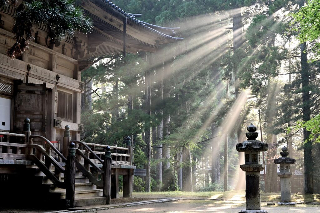 Sunlight streams through tall trees near a traditional temple, symbolizing sacred reflection during psilocybin experiences in Oregon.