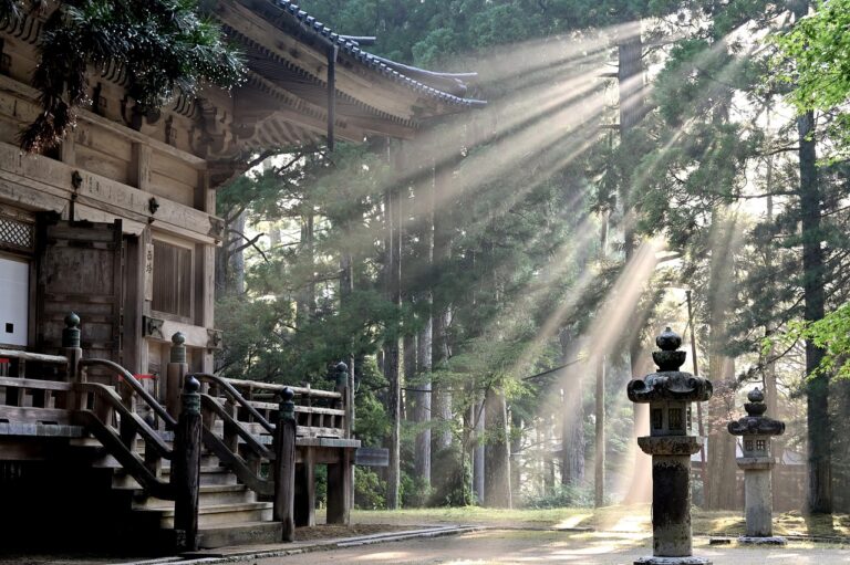 Sunlight streams through tall trees near a traditional temple, symbolizing sacred reflection during psilocybin experiences in Oregon.