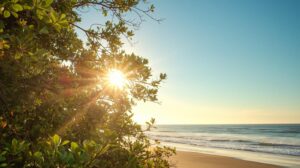 Arriving calm for psilocybin experience in Oregon—legal psychedelics