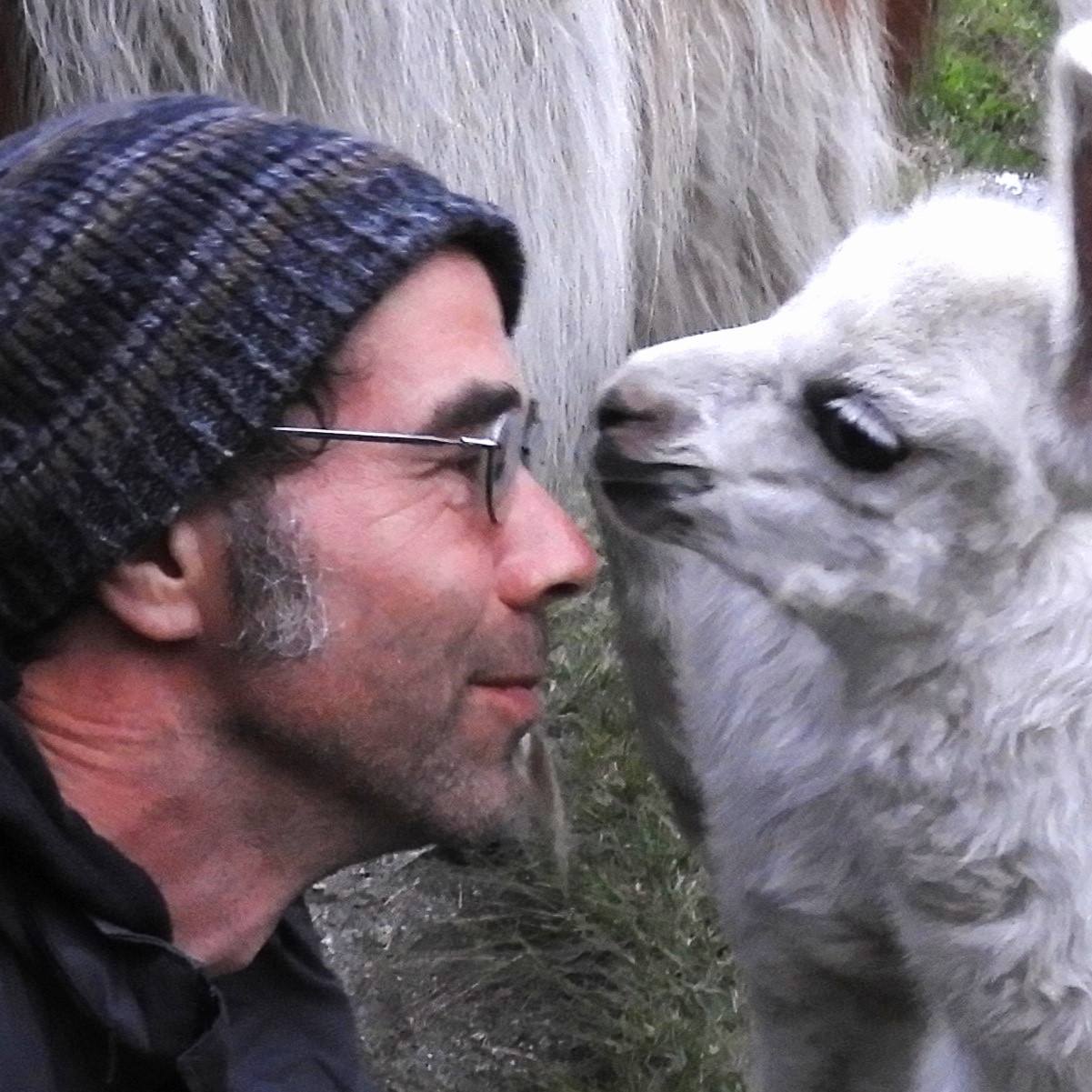 Matt Wissler outdoors, nose to nose with a young llama